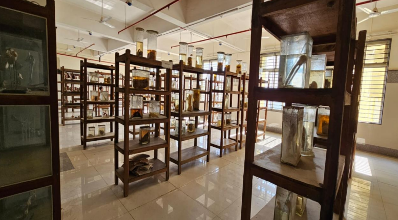 ANATOMY MUSEUM