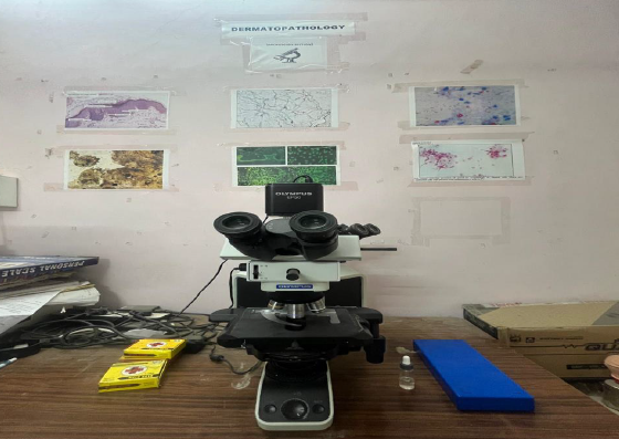 Dual Headed Microscope