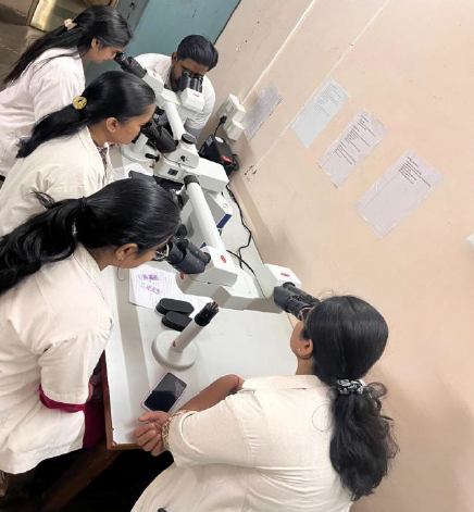 Pentahead Microscope